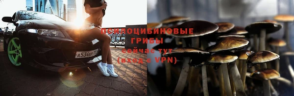 мет Арсеньев