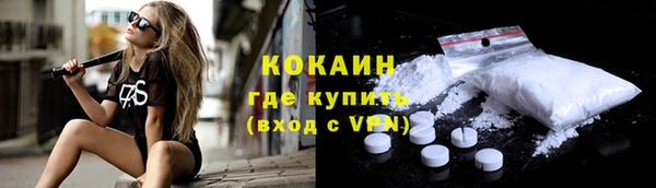 мет Арсеньев