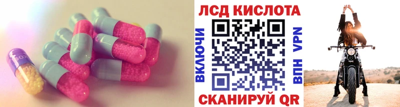 дарнет шоп  Багратионовск  Лсд 25 экстази ecstasy 